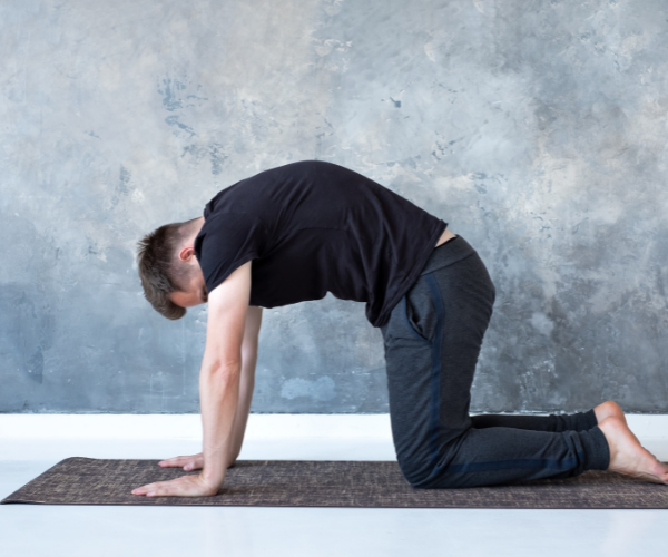 The Cat Cow pose helps to improve your posture and balance while strengthening and stretching your spine, neck, hips, and abdomen.