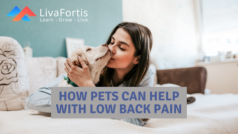 How Pets Can Help With Low Back Pain