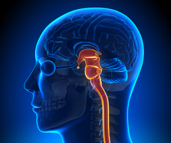 Do electrical stimulators work for chronic back pain?