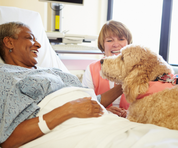 research shows that petting your furever friend for just 10 to 15 minutes can reduce the amount of cortisol (a stress hormone) that is in your body.