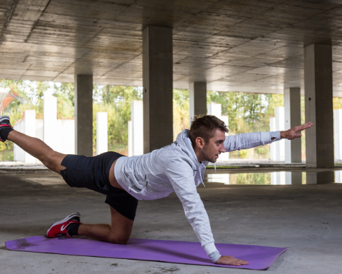 The bird dog stretch is one of the top 5 exercises for low back pain.