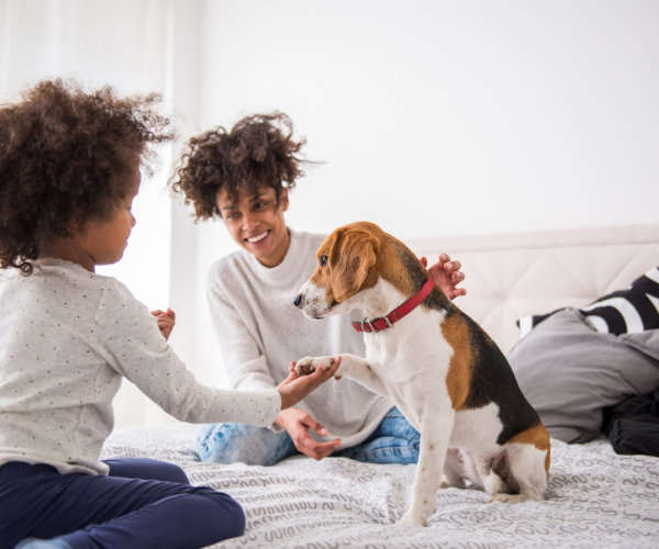 pets are being used in hospitals and outpatient clinics to help speed along recovery and provide comfort and reassurance to those undergoing medical procedures.