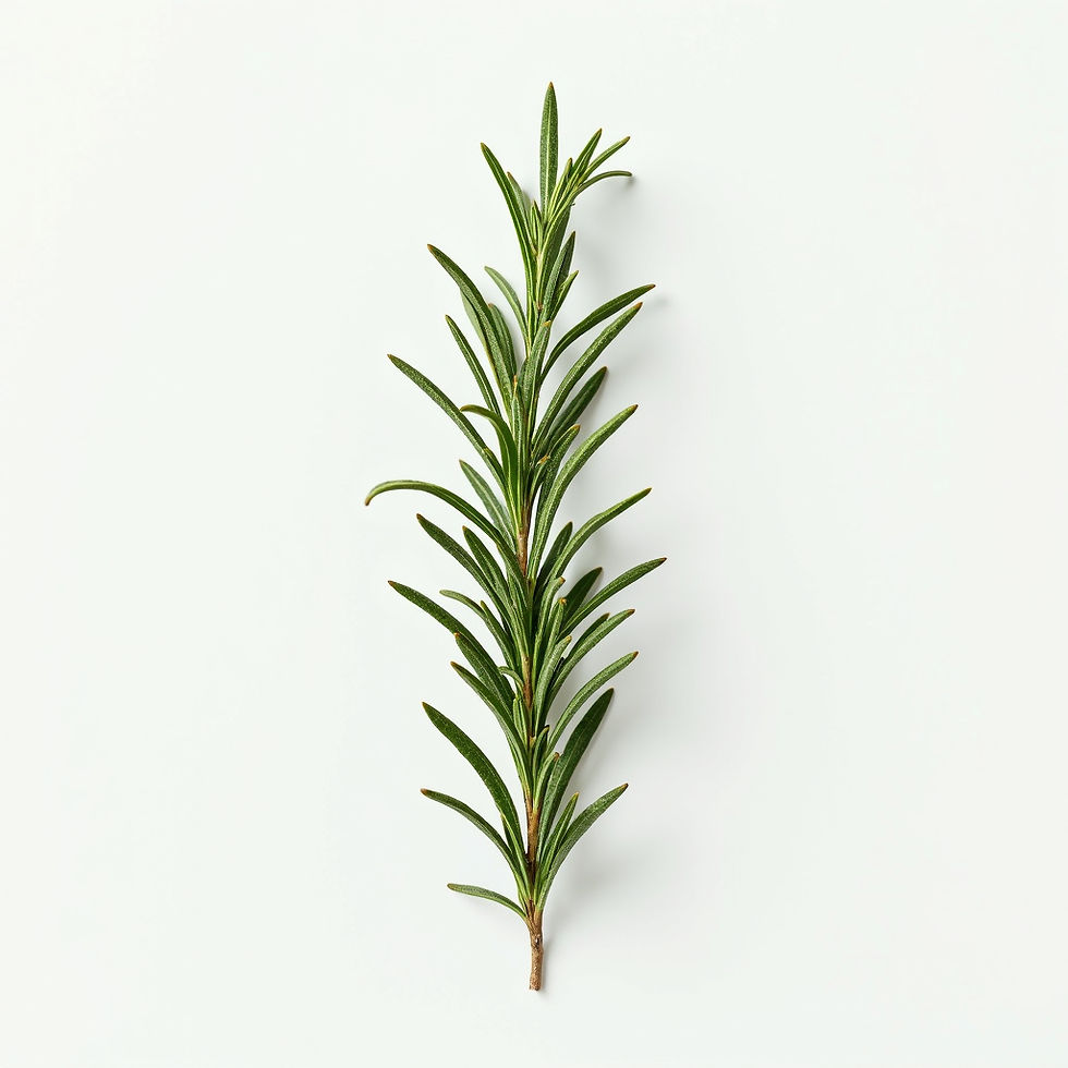 Rosemary Sprigs