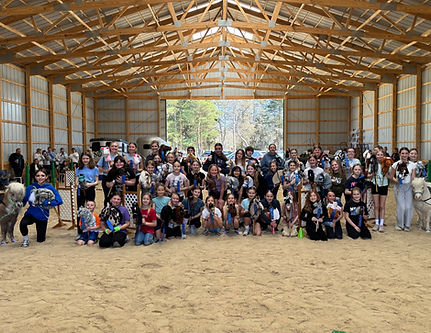 March 2026 Hobby Horse Showcase