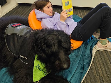 Baron at Barrington Library