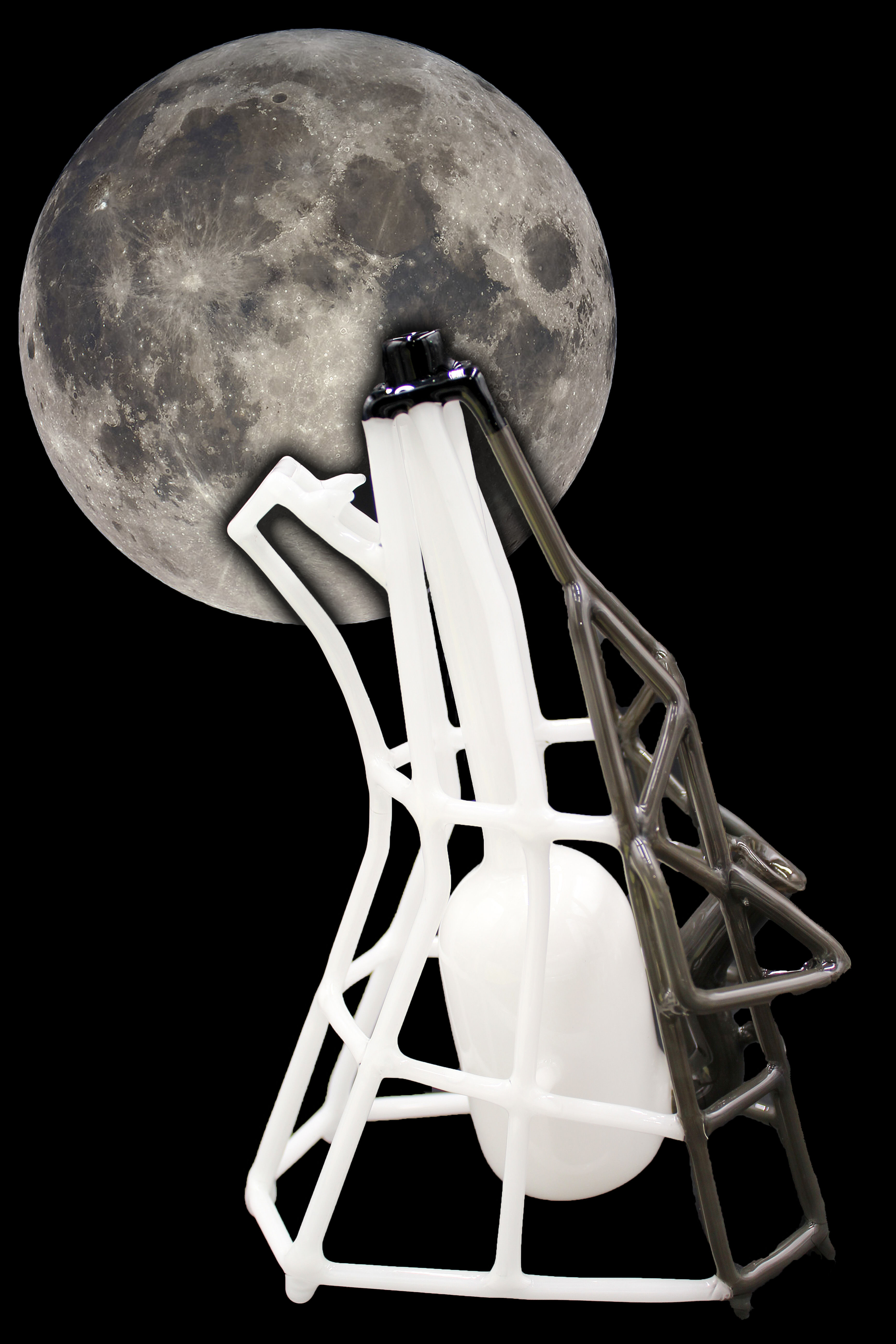 Kid Glass Low Poly Wolf 2023