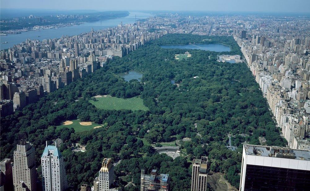 The Real History of Central Park Seneca Village