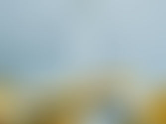 STF começa a julgar competência da Anvisa para proibir cigarros com aditivos; compreenda