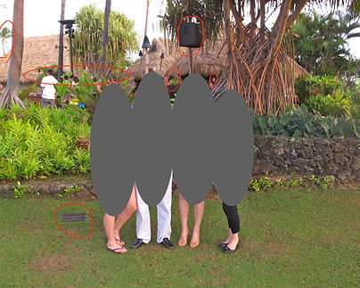 Family 4 Hawaii promo image before.jpeg