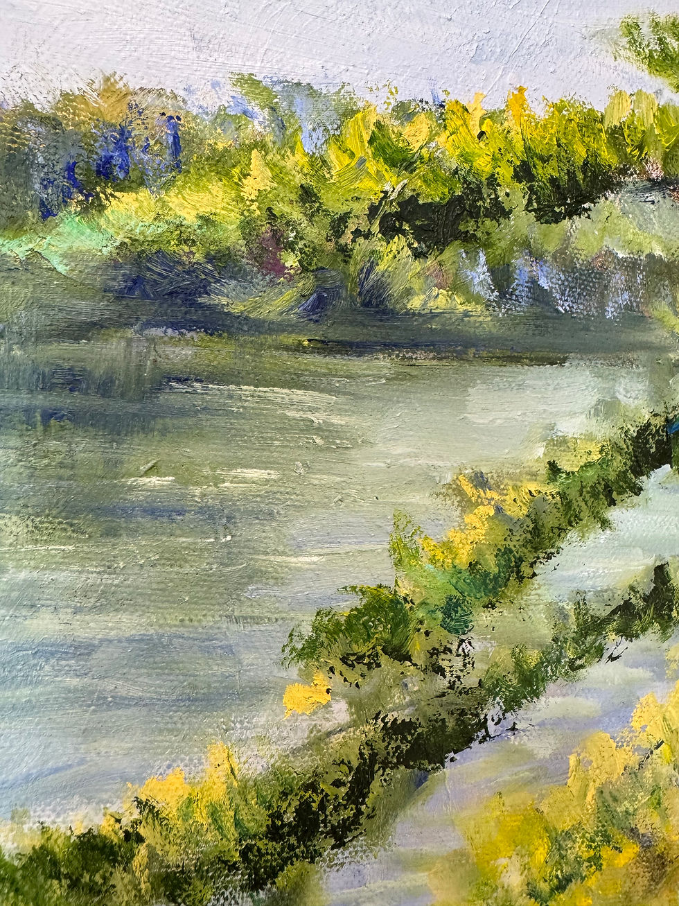 Thumbnail: large pine tree on shoreline close up