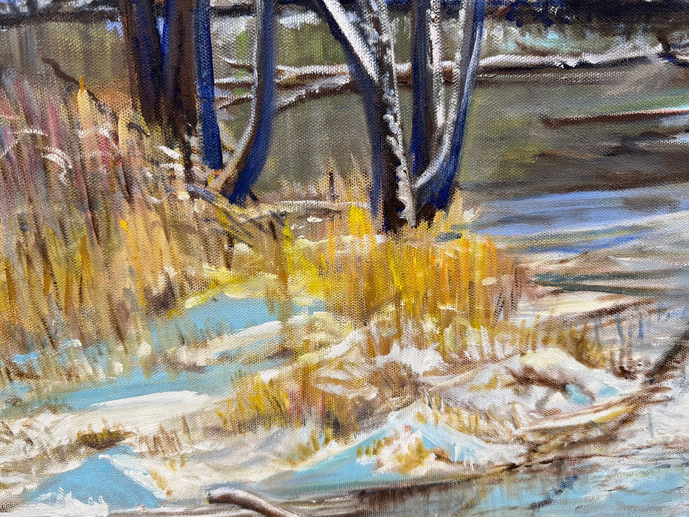 Thumbnail: sunny winter day frozen creek grass detail
