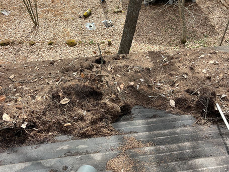 今シーズンもよろしくお願いします!