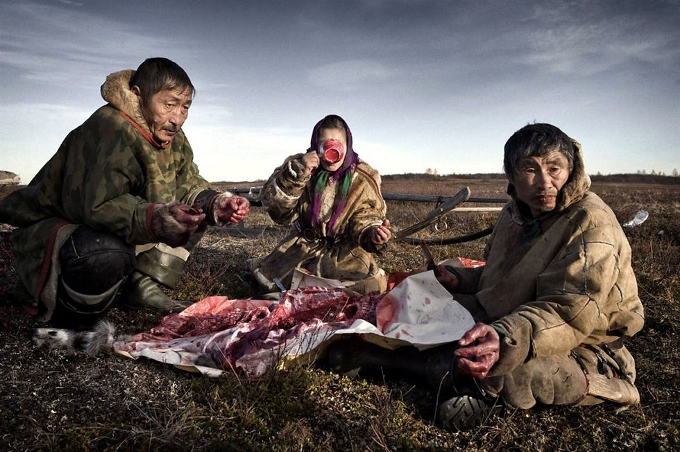 Жители Ямала разделывают добычу