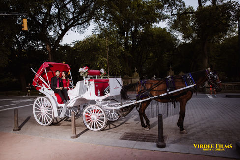 Central Park Engagement Shoot | Bollywood Style Pre-Wedding Shoot