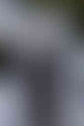 Afghani Wedding Photographer