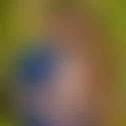 Guyanese Pre-Wedding Photo Shoot