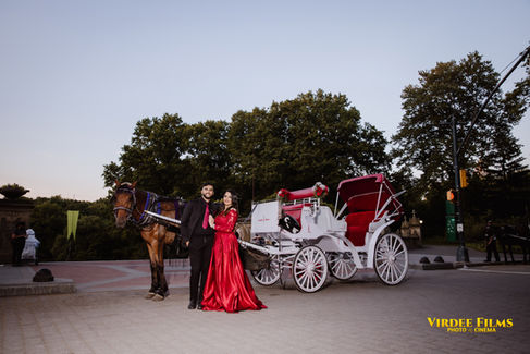 Central Park Engagement Shoot | Bollywood Style Pre-Wedding Shoot