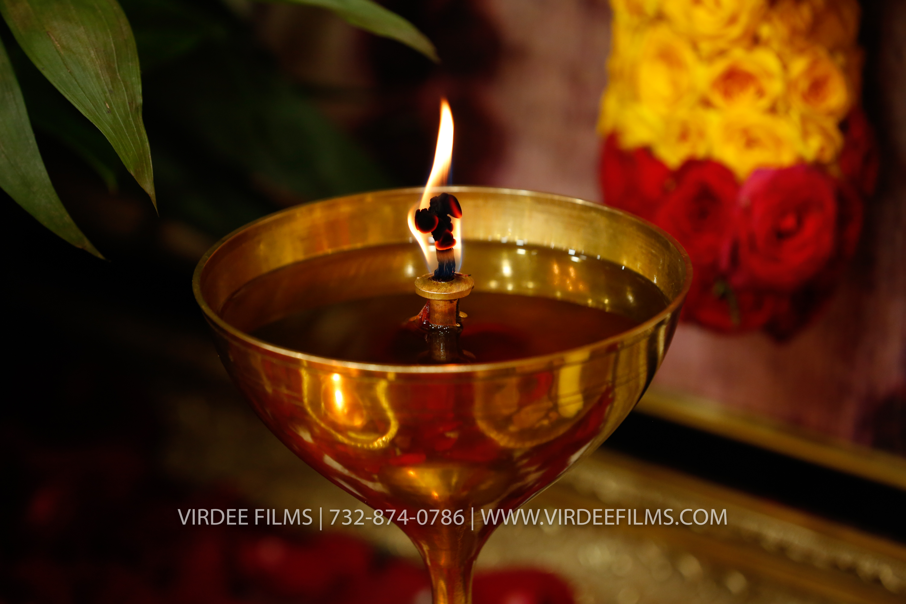 JAGRATA (346)