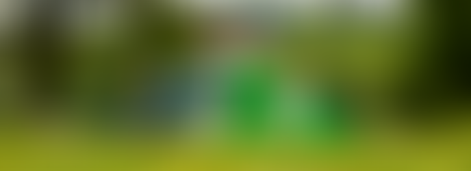 Longwood Gardens Pennsylvania - Pre Wedding Photo Shoot by Virdee Films Photo Cinema | Punjabi Wedding Photographer New Jersey