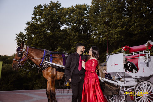 Central Park Engagement Shoot | Bollywood Style Pre-Wedding Shoot