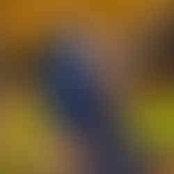 Guyanese Pre-Wedding Photo Shoot