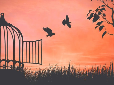 SOME BIRDS ARE NOT MEANT TO BE CAGED