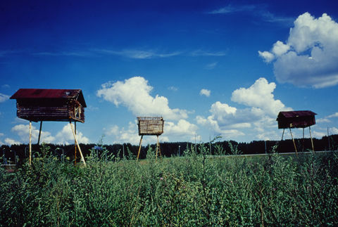 1999_Landescape_01-1900x1280.jpg