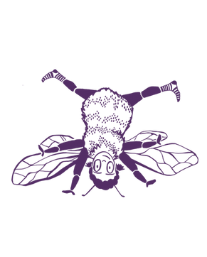 230808_Hummel_radschlag.png