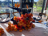 IMG_2310.jpeg