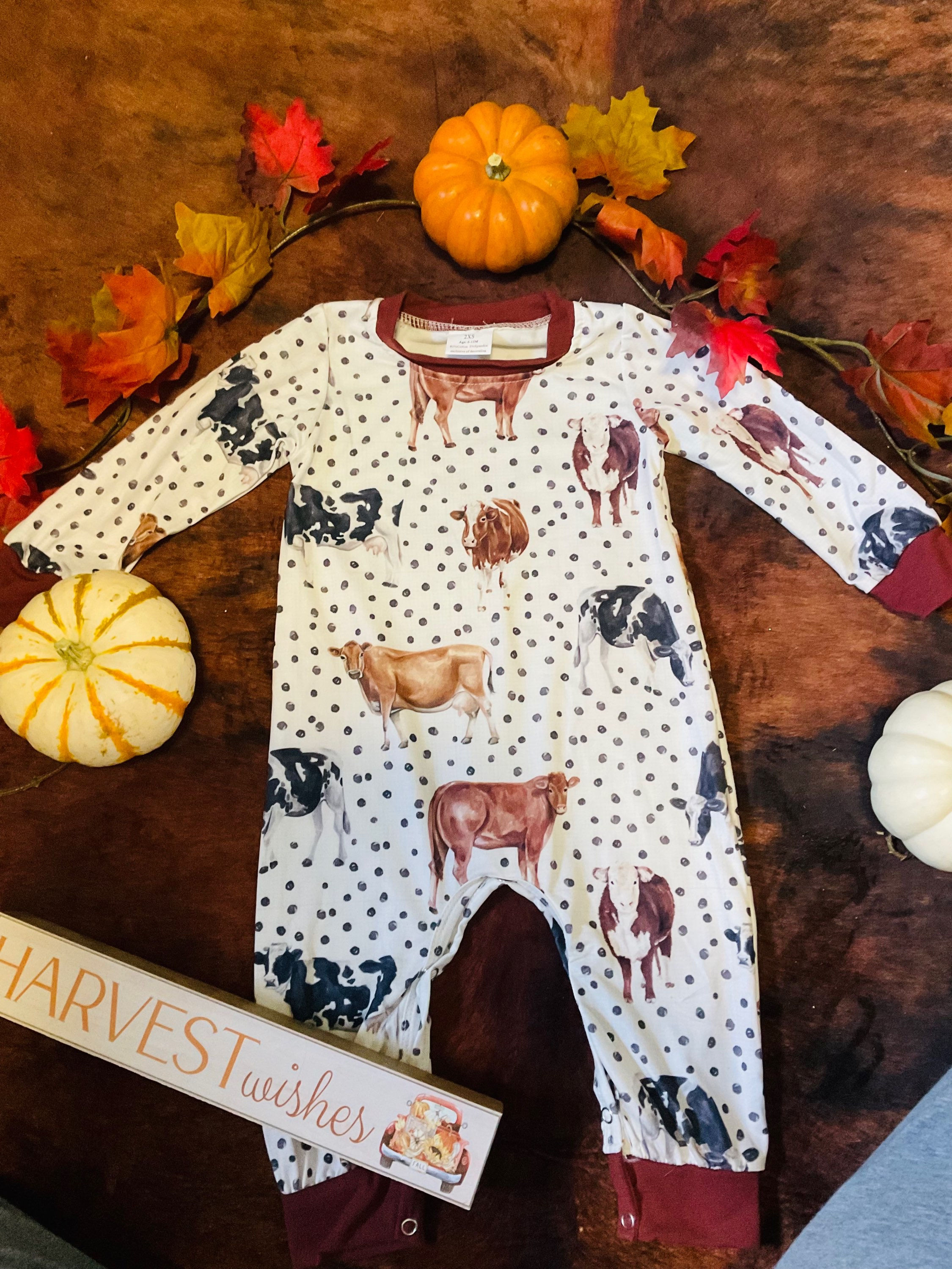 Cattle Breeds Romper