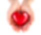 Heart in Hand.jpg