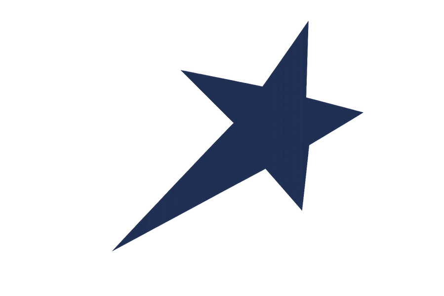 Granatowa gwiazda w stylu wektorowym – symbol niezawodności marki motoryzacyjnej