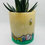 Thumbnail: Sheffield candle holder / plant pot 
