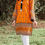 Thumbnail: Orange top- Orient xs