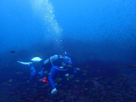 西川名 海況速報｜2025/12/16｜沖は激流（汗）