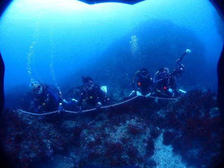 ガイドチェーンって何?そして、張替え作業へのご協力ありがとうございました😋