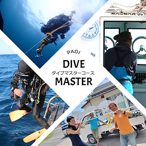PADI インストラクター ダイビングガイドブックなど