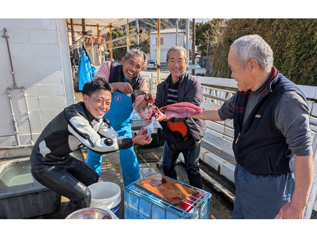 魚を捌いています｜西川名ダイビングサービス