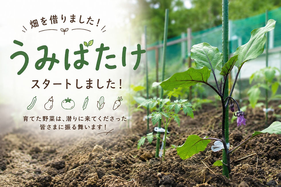 西川名うみばたけ