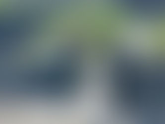 サメ穴~アナゴ岩 ガイドチェーンメンテナンス