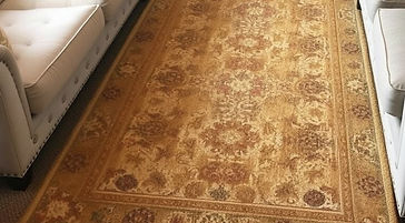 rugs and carpet and sofa cleaning_edited