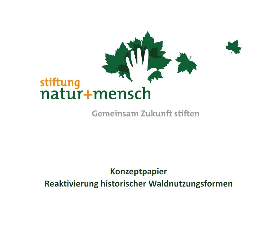 Unbenannt.PNG