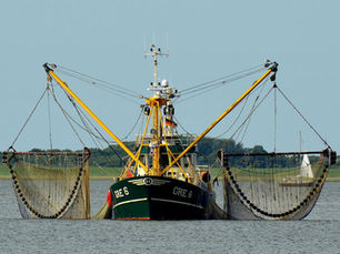 Ein weiterer Schlag gegen den ländlichen Raum