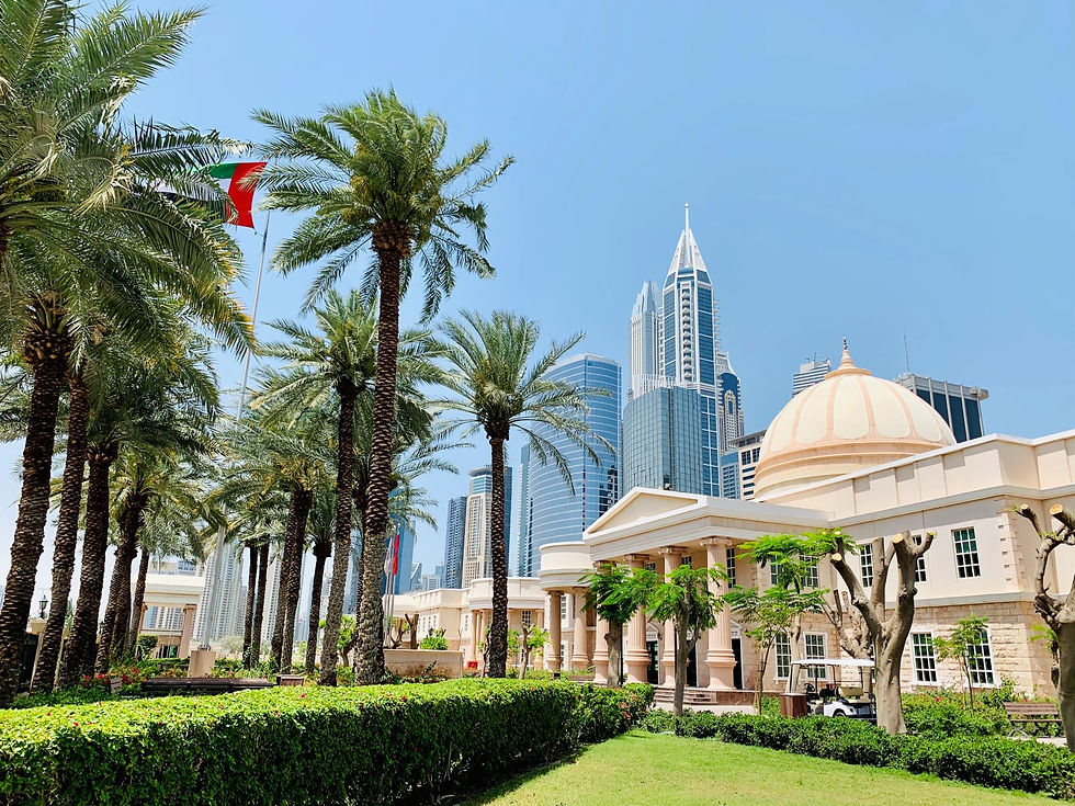 American University in Dubai.jpg