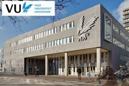 VU Fellowship Programme (VUFP).jpeg