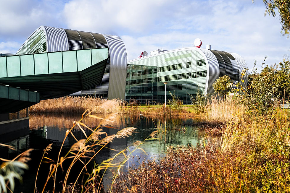 Radboud Scholarship Programme.jpg