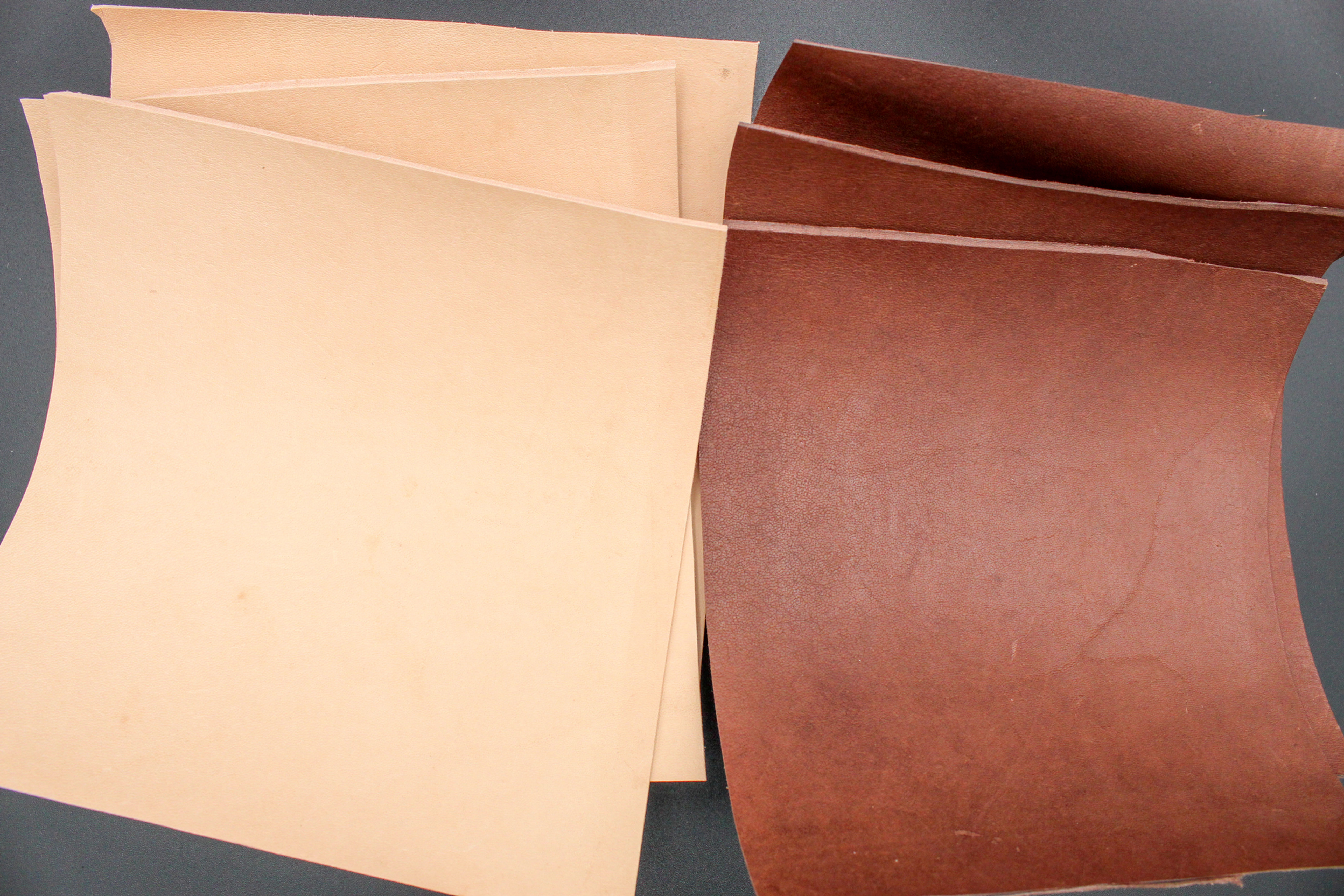 Premium Kangaroo Leather (0.25 sq. ft.)
