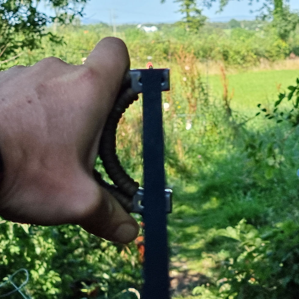 Thumbnail: TTF Sights