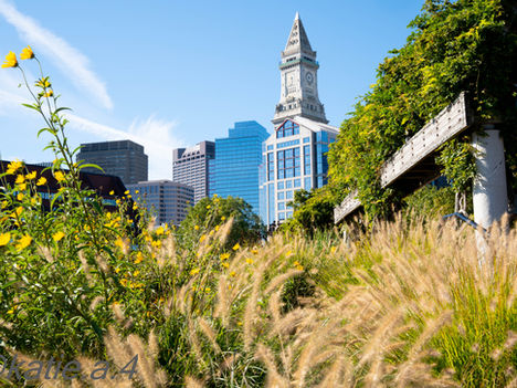 Architecture & Street Photography