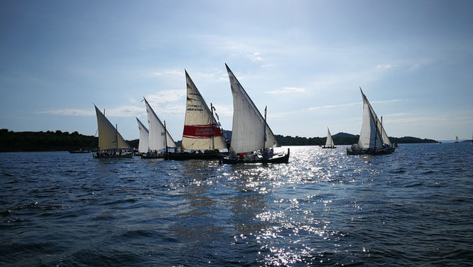 IMG_20190929_152631.jpg